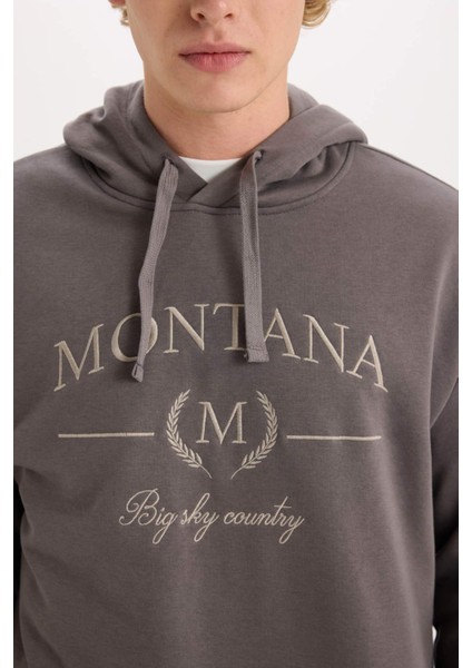Relax Fit Kapüşonlu Baskılı Kalın Sweatshirt D2681AX24AU