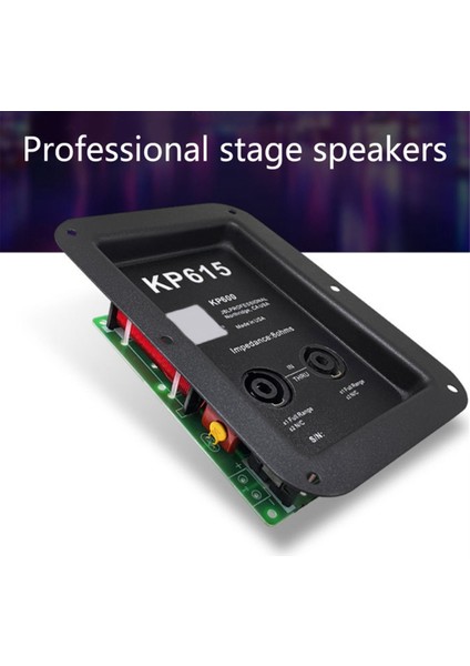 2 Yolu Ses Bölü Kazık Frekans Bölücü Modülü Tiz Bas Hifi Crossover Filtre Distribütörü Hoparlör Için (Yurt Dışından) fiyatları