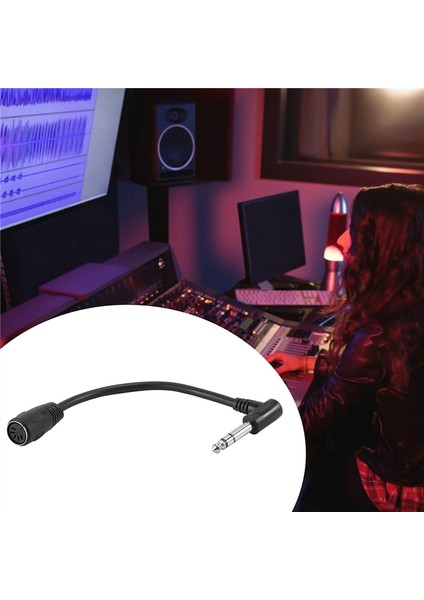 Mıdı Kablosu, 5 Pimli Din Dişi Ila Monoprice 6.35MM (1/4 Inç) Erkek Trs Stereo Ses Uzatma Kablosu (Yurt Dışından) indirimleri