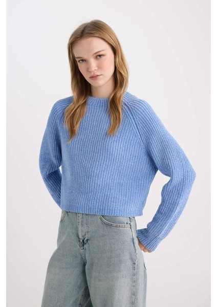 Regular Fit Yarım Balıkçı Yaka Triko Kazak C6234AX24CW