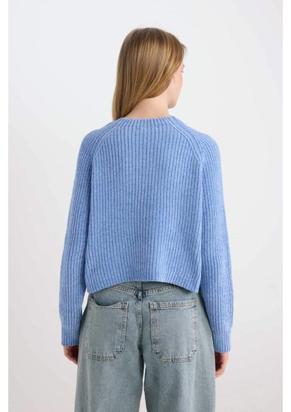 Regular Fit Yarım Balıkçı Yaka Triko Kazak C6234AX24CW