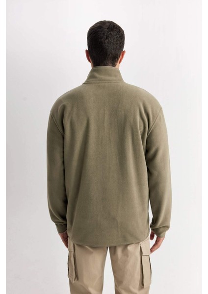 Relax Fit Dik Yaka Polar Fermuarlı Sweatshirt D2349AX24AU