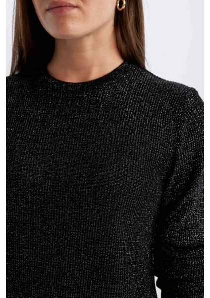 Regular Fit Bisiklet Yaka Simli Kumaş Triko Kazak D0405AX24WN