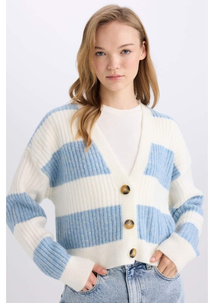 Regular Fit V Yaka Çizgili Düğmeli Triko Hırka A2416AX24WN