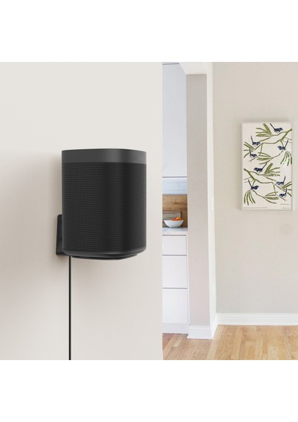 Hoparlör Duvar Montajı Duvar Montajı Bir Sl Hoparlör Montaj Hoparlör Sağlam Metal Raf (Yurt Dışından) fiyatları