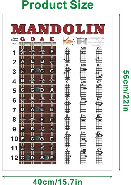 Mandolin Poster Grafiği Akor Müzikal Eğitim Enstrüman Kılavuzu Akorlar Kabar Parmak Grafiği (Yurt Dışından) fiyatları
