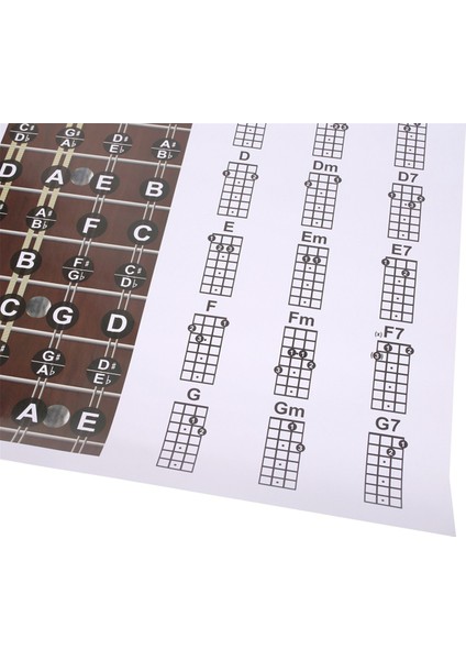 Mandolin Poster Grafiği Akor Müzikal Eğitim Enstrüman Kılavuzu Akorlar Kabar Parmak Grafiği (Yurt Dışından) indirimleri