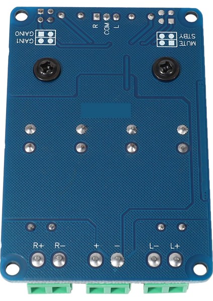 TDA7498 2 Kanal 2X100W Dc 8 ~ 32V Dijital Stereo Güç Amplifikatör Kartı (Yurt Dışından) indirimleri