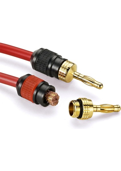 Premium Placated Hızlı Bağlantı Muz Fişleri: Güvenlik Hoparlör Konnektörü, Maksimum Sinyal Aktarımı Için Daha Geniş Tabana Sahip (Yurt Dışından) fırsatları