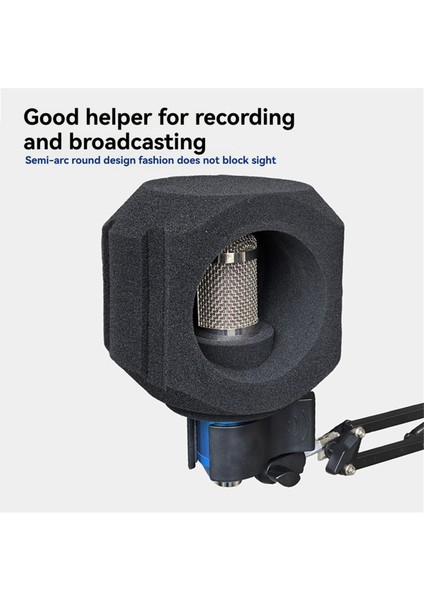 C5 Mikrofon Rüzgar Kalkanı Akustik Filtre Profesyonel Kondenser Mikrofon Stüdyo Sünger Ses Geçirmez Koruma Kapağı B (Yurt Dışından) fırsatları