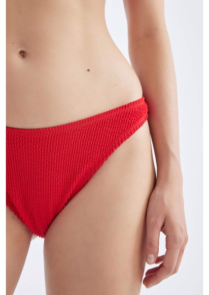 Regular Fit Bikini Altı-Fall in Love D2644AX24HS