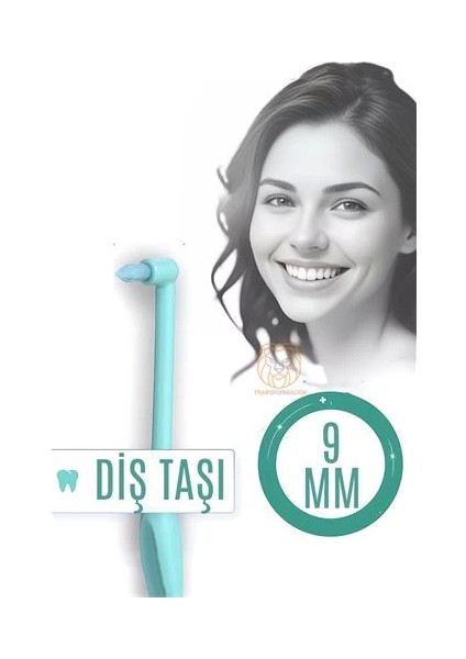 Bfs Diş Taşı Temizleyici