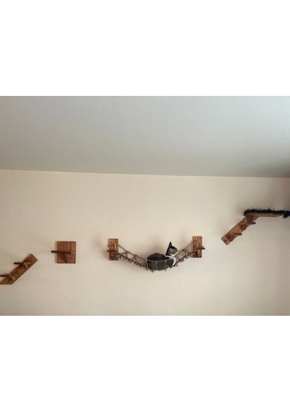 Kedi Için Duvara Monte Merdiven Yatak Rafları 4'lü Masif Ahşap Set Kahverengi fiyatları