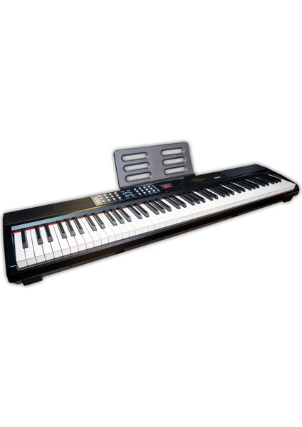 Bx-35 Bk 88 Tuş Hassasiyetli Org | Mp3 Okuyucu | Mıdı | Double Bluetooth | 900 Ses | 700 Ritim (Siyah)