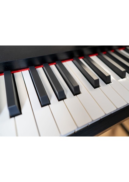 BX-30 BK | Hammer Action Tuş | Dijital Piyano | Super ReverbI I KLAVYE SEHPASI