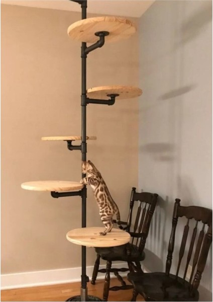 Turkuaz Renkli Dekoratif Borudan Kedi Merdiveni, Şık ve Fonksiyonel Tasarım fiyatları