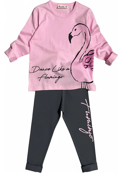 Flamingo Desenli Pembe Renk Kız Çocuk Mevsimlik Taytlı Takım modelleri