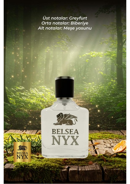 Nyrel Edp Erkek Parfüm 50 ml fiyatları