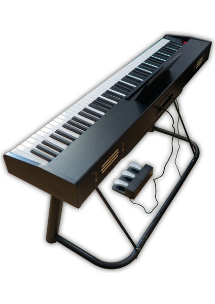 Hme BX-100 Bk Hammer Action Tuş Org | Super Reverb | 800 Ritim |1000 Adet Ses | Kayıt (Siyah)