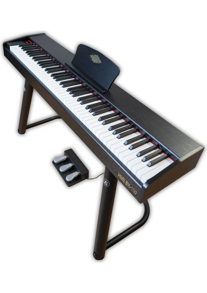 Hme BX-100 Bk Hammer Action Tuş Org | Super Reverb | 800 Ritim |1000 Adet Ses | Kayıt (Siyah) fiyatları