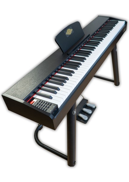 Hme BX-100 Bk Hammer Action Tuş Org | Super Reverb | 800 Ritim |1000 Adet Ses | Kayıt (Siyah) indirimleri