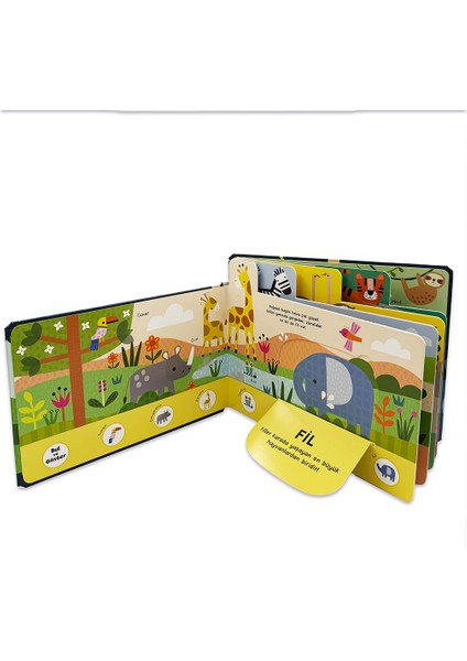 Bul ve Göster Pop-up Kitap - Doğa Kâşifleri (Büyük Boy) fırsatları