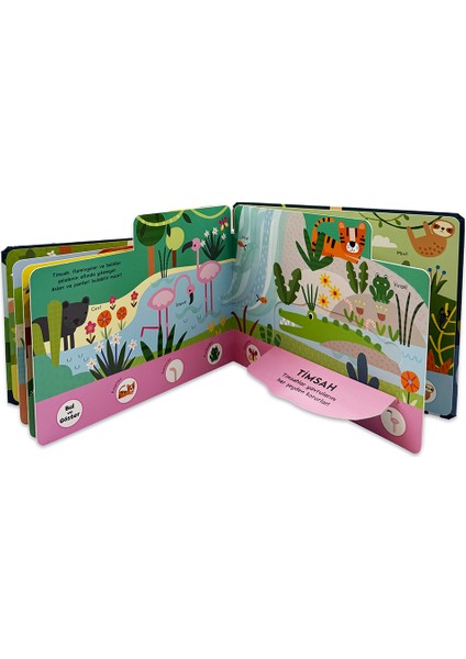 Bul ve Göster Pop-up Kitap - Doğa Kâşifleri (Büyük Boy) indirimleri