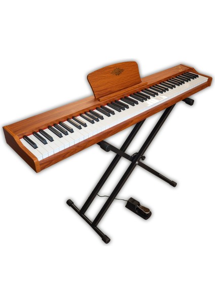 Bx-30 Bn 88 Tuş Hassasiyetli Org (Kahverengi) fiyatları