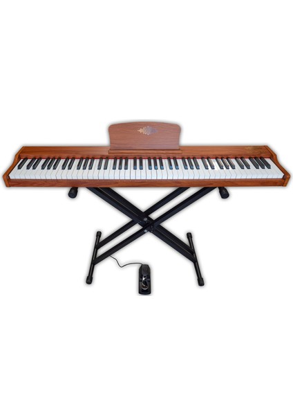 Bx-30 Bn 88 Tuş Hassasiyetli Org (Kahverengi) fırsatları