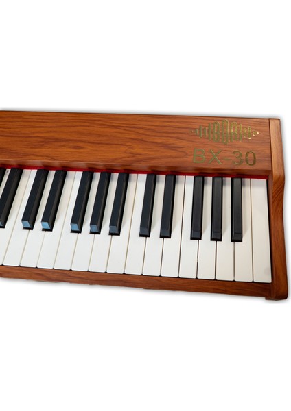 Bx-30 Bn 88 Tuş Hassasiyetli Org (Kahverengi)