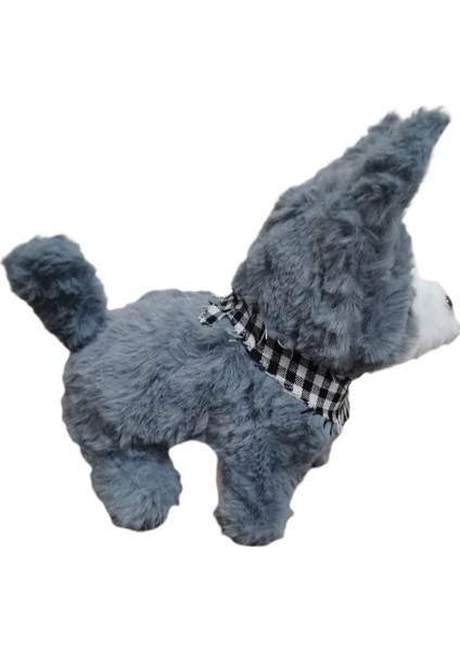 Pilli , Hareketli, Oyuncak Köpek modelleri