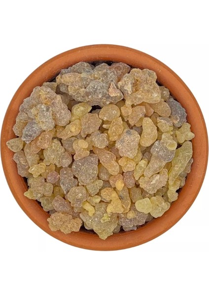 Doğal Akgünlük Sakızı - %100 Doğal Reçine - Günlük Sakızı, Taze & Yeni Mahsül 55GR modelleri