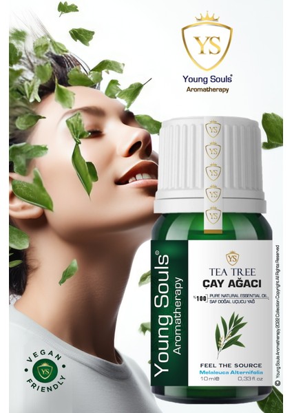Aromatherapy Tea Tree Essential Oil Çay Ağacı Uçucu Yağ 10 ml fiyatları