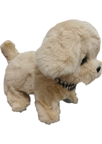 Pilli, Hareketli Oyuncak Köpek