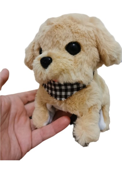 Pilli, Hareketli Oyuncak Köpek fiyatları