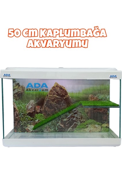 Su Kaplumbağası Akvaryumu Bahçeli Rampalı Dinlenme 50X30X25 cm Arka Plan Hediyeli