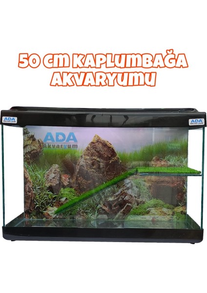 Su Kaplumbağası Akvaryumu Bahçeli Rampalı Dinlenme 50X30X25 cm Arka Plan Hediyeli fiyatları