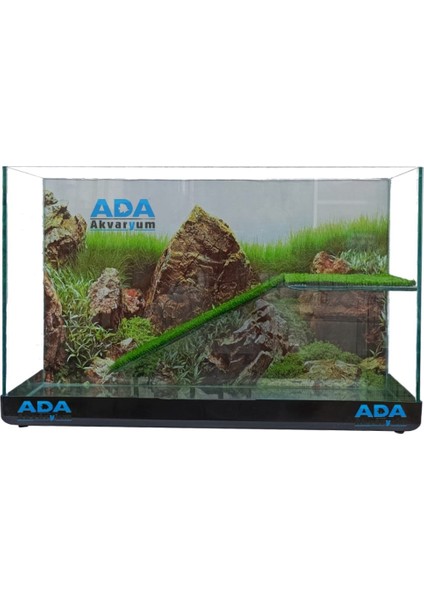 Su Kaplumbağası Akvaryumu Bahçeli Rampalı Dinlenme 50X30X25 cm Arka Plan Hediyeli fırsatları