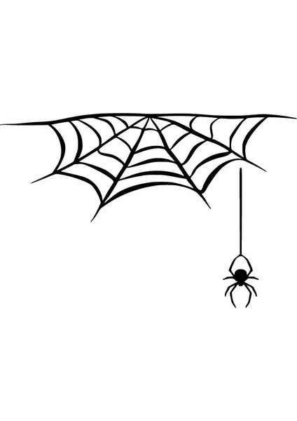 Örümcek Ağı Duvar Dekor Sticker 40 x 24 cm