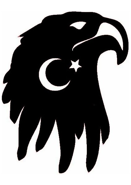 Ayyıldızlı Kartal Oto Arka Cam Sticker 15 x 15 cm