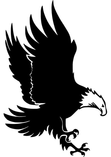 Avcı Kartal Oto Özel Yeni Sticker Siyah 20 x 30 cm