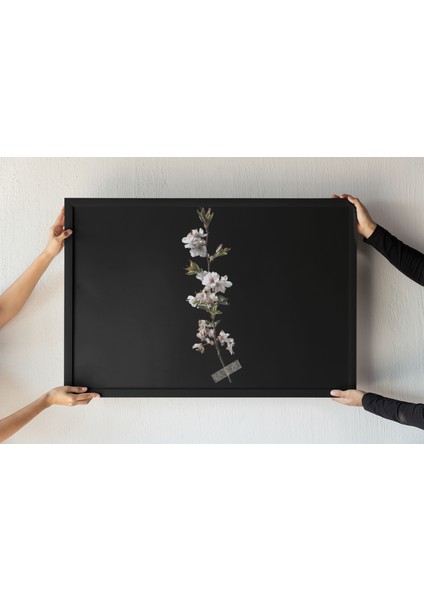 Minimalist Çiçek Dalı Çerçeveli Tablo–siyah Fon Üzerine Beyaz Çiçek Sanatı – Duvar Dekoru – 30X42 cm