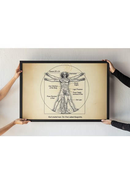 Vitruvian Man Çerçeveli Tablo – Da Vinci Parodi Baskısı – Bilim ve Mizah Duvar Dekoru – 30X42 cm