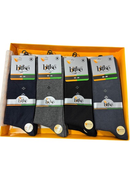 Erkek Modal Çorap Dikişsiz 6'lı Paket