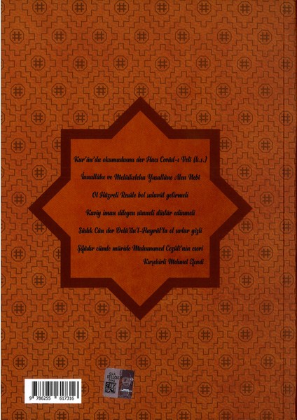 Delailül Hayrat Salavatı Şerifeler Arapça Türkçe Okunuşu Meali Hızbul ve Felah Daim Cezuli 464 Sayfa indirimleri