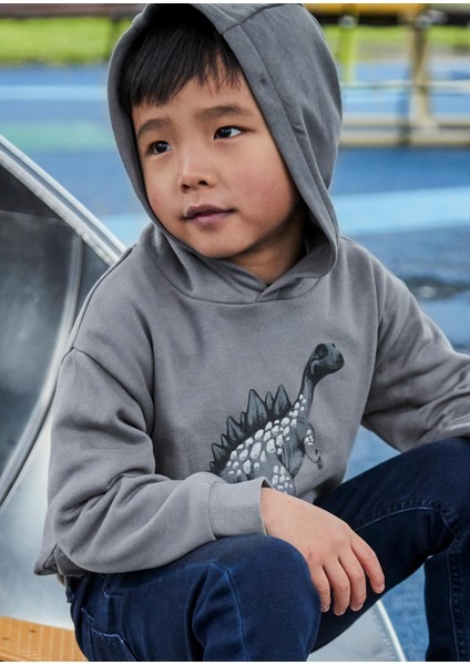 Erkek Çocuk Kapşonlu Sweatshirt Gri