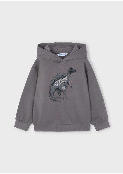 Erkek Çocuk Kapşonlu Sweatshirt Gri fiyatları