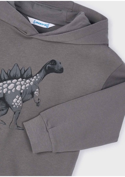 Erkek Çocuk Kapşonlu Sweatshirt Gri fırsatları