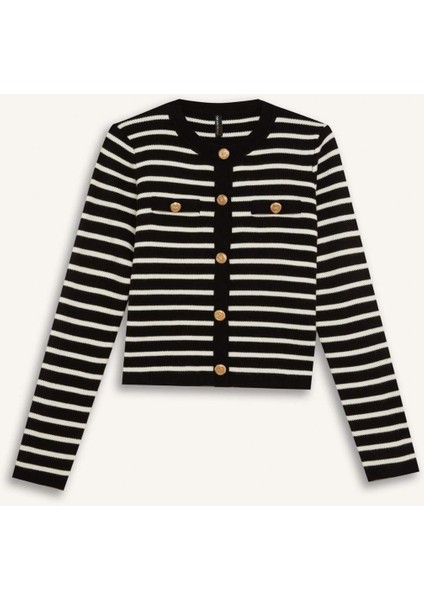 Regular Fit Bisiklet Yaka Çizgili Düğmeli Triko Hırka D3307AX24WN