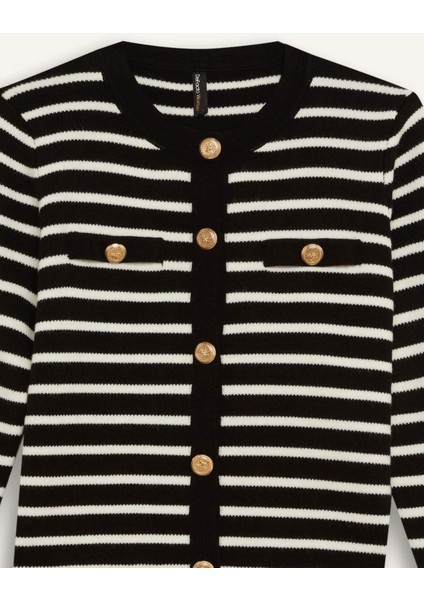 Regular Fit Bisiklet Yaka Çizgili Düğmeli Triko Hırka D3307AX24WN